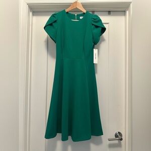 💚 NWT! Green CALVIN KLEIN Tulip Sleeve Flare Dress - Size 4